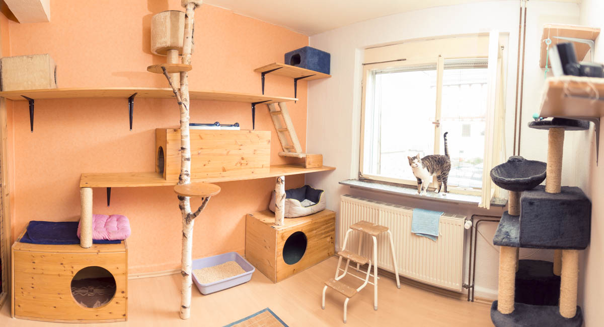 Freigehege der Katzenpension Mia Maunz
